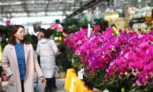 郑州微店放心花套出来个人,郑州微店放心花套出来个人，打造花卉电商的诚信品牌