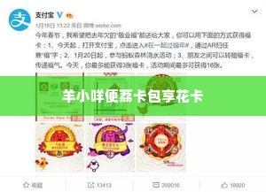 羊小咩便荔卡包享花卡可以提现,羊小咩便荔卡包享花卡，轻松提现，畅享生活