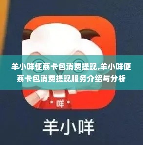 羊小咩便荔卡包消费提现,羊小咩便荔卡包消费提现服务介绍与分析
