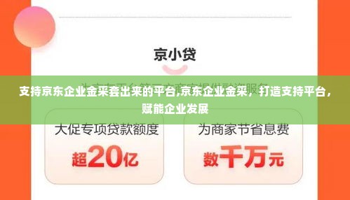 支持京东企业金采套出来的平台,京东企业金采，打造支持平台，赋能企业发展