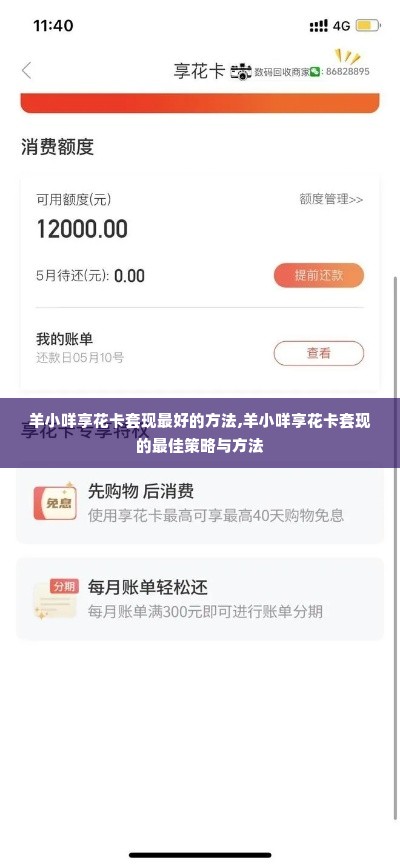 羊小咩享花卡套现最好的方法,羊小咩享花卡套现的最佳策略与方法