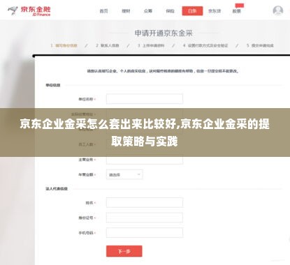 京东企业金采怎么套出来比较好,京东企业金采的提取策略与实践