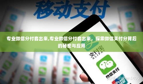 专业微信分付套出来,专业微信分付套出来，探索微信支付分背后的秘密与应用