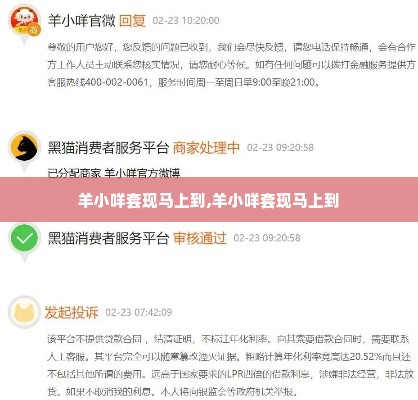 羊小咩套现马上到,羊小咩套现马上到