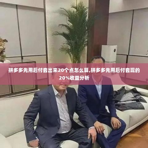 拼多多先用后付套出来20个点怎么算,拼多多先用后付套现的20%收益分析