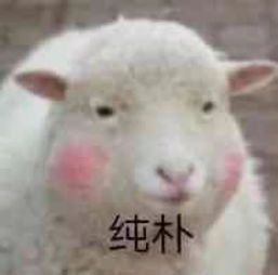 羊小咩便荔卡包享花卡能不能提现,羊小咩便荔卡包享花卡的提现机制与用户反馈