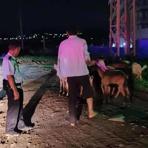 羊小咩500额度套现,羊小咩500额度套现攻略全解析