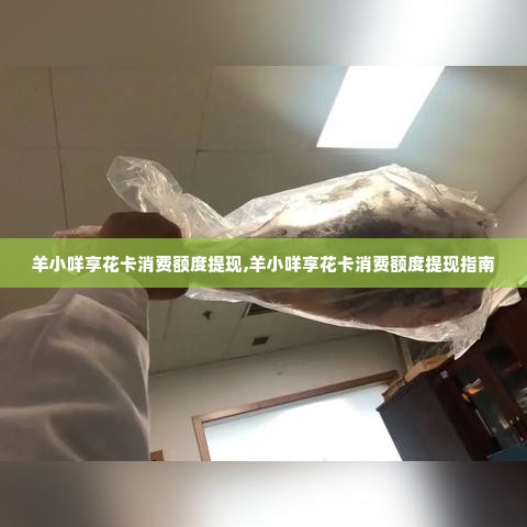 羊小咩享花卡消费额度提现,羊小咩享花卡消费额度提现指南