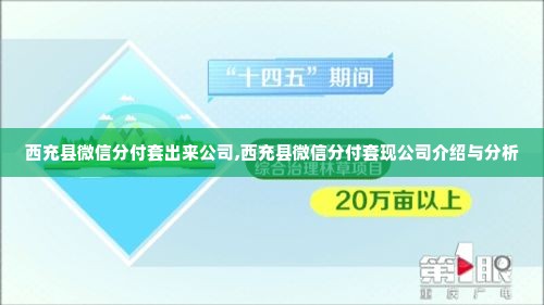 西充县微信分付套出来公司,西充县微信分付套现公司介绍与分析