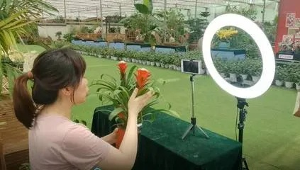 潍坊微店放心花套出来,潍坊微店放心花套出来，打造花卉电商的诚信品牌