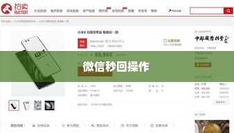 京东企业金采套出来秒回微信可以吗,探索京东企业金采套现的合法性与实践