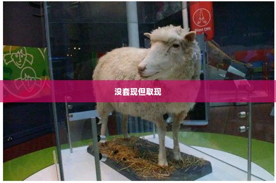 羊小咩没套现但取现了,羊小咩的奇幻取现之旅