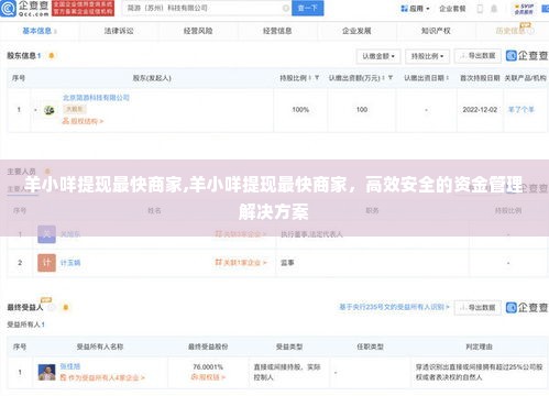 羊小咩提现最快商家,羊小咩提现最快商家，高效安全的资金管理解决方案
