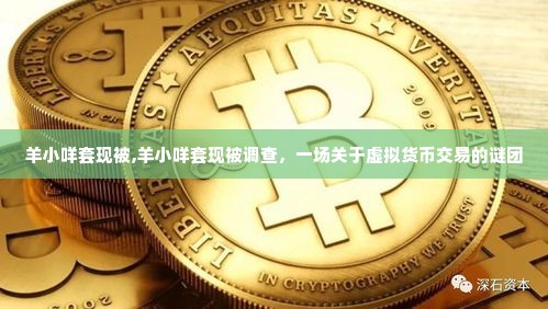 羊小咩套现被,羊小咩套现被调查，一场关于虚拟货币交易的谜团