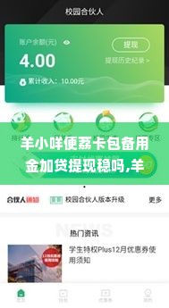 羊小咩便荔卡包备用金加贷提现稳吗,羊小咩便荔卡包备用金加贷提现服务分析与评估