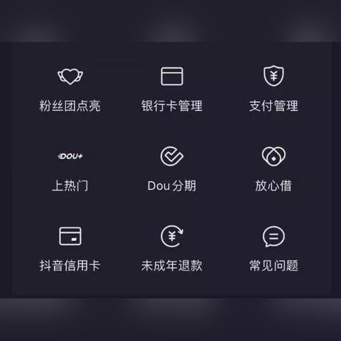 中山市抖音月付套出来公司,中山市抖音月付套出来公司——创新支付方式，引领消费新潮流