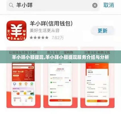 羊小咩小额提现,羊小咩小额提现服务介绍与分析