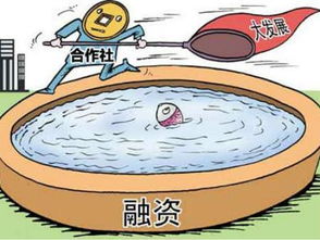 羊小咩套现多少个点,羊小咩套现，金融创新与市场机遇的博弈