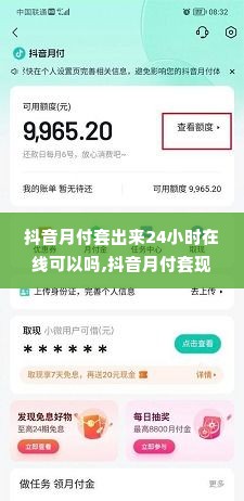 抖音月付套出来24小时在线可以吗,抖音月付套现服务，24小时在线的可能性与挑战