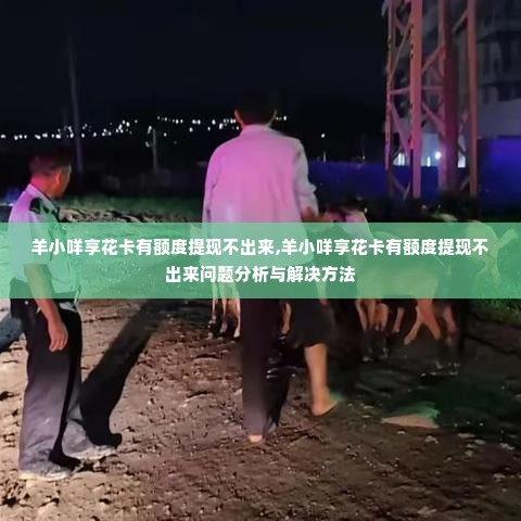 羊小咩享花卡有额度提现不出来,羊小咩享花卡有额度提现不出来问题分析与解决方法