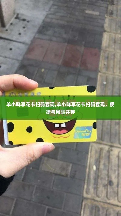 羊小咩享花卡扫码套现,羊小咩享花卡扫码套现，便捷与风险并存
