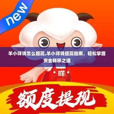 羊小咩钱怎么提现,羊小咩钱提现指南，轻松掌握资金转移之道