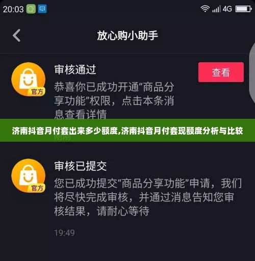 济南抖音月付套出来多少额度,济南抖音月付套现额度分析与比较
