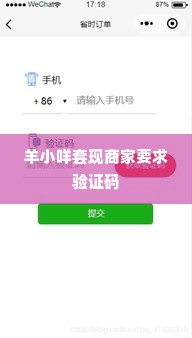 羊小咩套现商家要我验证码,羊小咩套现商家要求验证码的警示