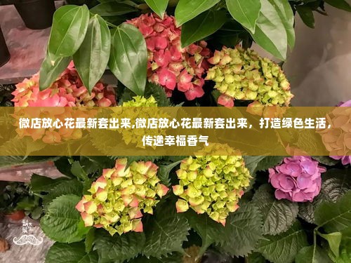 微店放心花最新套出来,微店放心花最新套出来，打造绿色生活，传递幸福香气