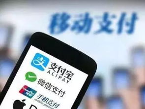 转转分期怎么扫码套出来,转转分期扫码套现的方法与风险评估