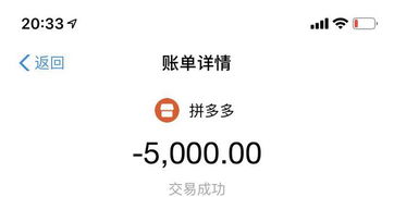 拼多多先用后付5000套出来多少,拼多多先用后付，5000套商品背后的消费心理与策略分析