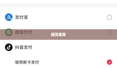 抖音月付套出来小二在哪里添加的,抖音月付套出来小二在哪里添加？