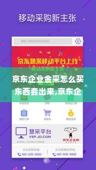 京东企业金采怎么买东西套出来,京东企业金采购物技巧与策略