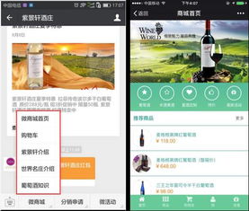 微信分付买什么套出来快,微信分付购买套现产品快速指南