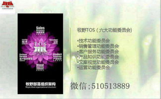 微信分付买什么套出来快,微信分付购买套现产品快速指南