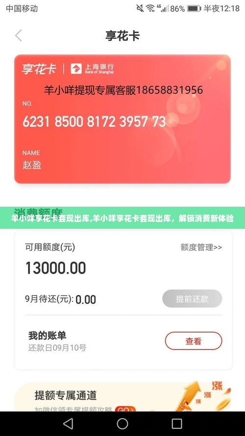 羊小咩享花卡套现出库,羊小咩享花卡套现出库，解锁消费新体验
