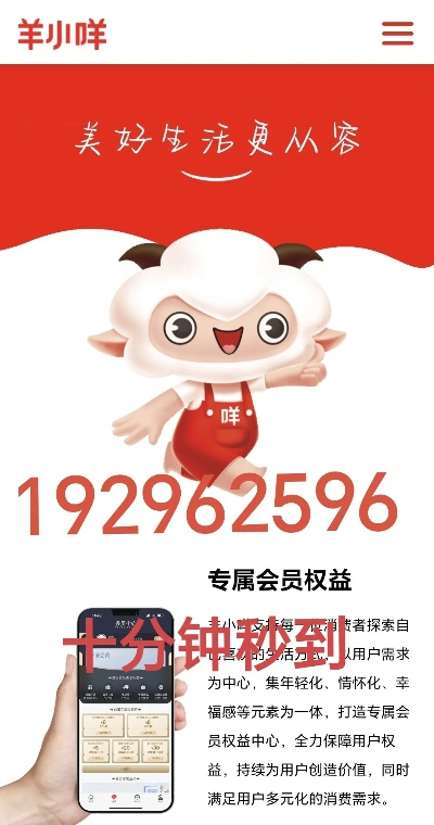 深圳羊小咩享花卡提现,深圳羊小咩享花卡提现服务详解