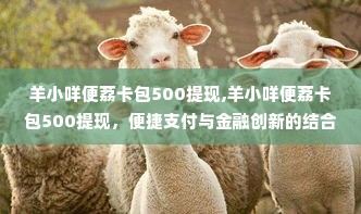 羊小咩便荔卡包500提现,羊小咩便荔卡包500提现，便捷支付与金融创新的结合