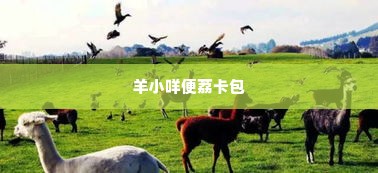 羊小咩便荔卡包提现微信,羊小咩便荔卡包提现微信的探索与实践