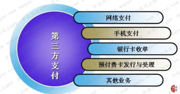 哪里支持转转分期套出来业务,转转分期套现业务，解密操作流程与风险管理