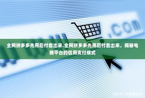 全网拼多多先用后付套出来,全网拼多多先用后付套出来，揭秘电商平台的信用支付模式