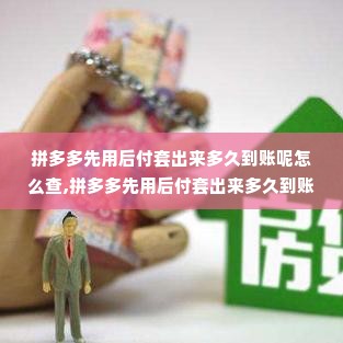 拼多多先用后付套出来多久到账呢怎么查,拼多多先用后付套出来多久到账？怎么查？
