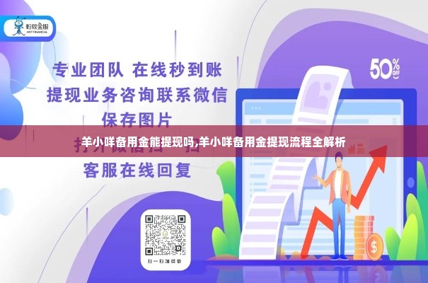 羊小咩备用金能提现吗,羊小咩备用金提现流程全解析