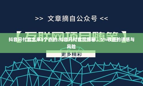 抖音月付套出来5个点的,抖音月付套现揭秘，5%收益的诱惑与风险