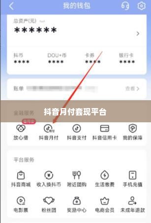 支持抖音月付套出来的平台是什么,探索抖音月付套现的多元途径