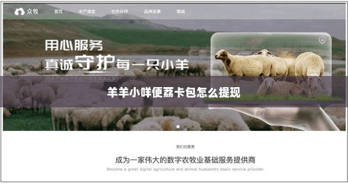 羊羊小咩便荔卡包怎么提现,羊羊小咩便荔卡包提现指南
