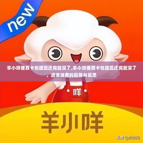 羊小咩便荔卡包提现还完就没了,羊小咩便荔卡包提现还完就没了，透支消费的陷阱与反思