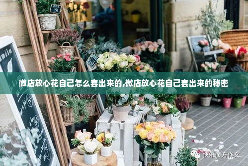 微店放心花自己怎么套出来的,微店放心花自己套出来的秘密