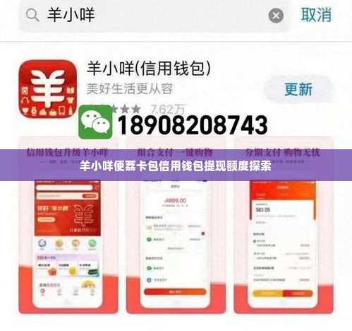 羊小咩便荔卡包信用钱包提现额度,羊小咩便荔卡包信用钱包提现额度的探索与优化