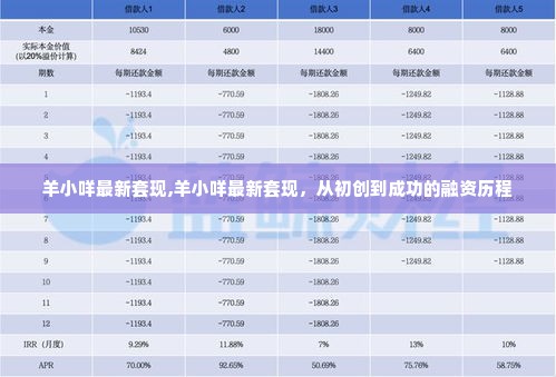 羊小咩最新套现,羊小咩最新套现，从初创到成功的融资历程